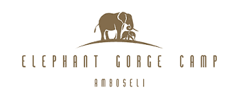 Elephant George